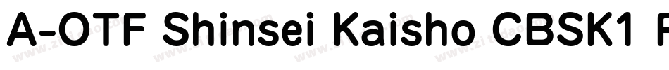 A-OTF Shinsei Kaisho CBSK1 Pro字体转换